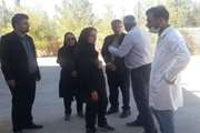 کارخانه های خوراک دام و طیور سرایان ممیزی شدند